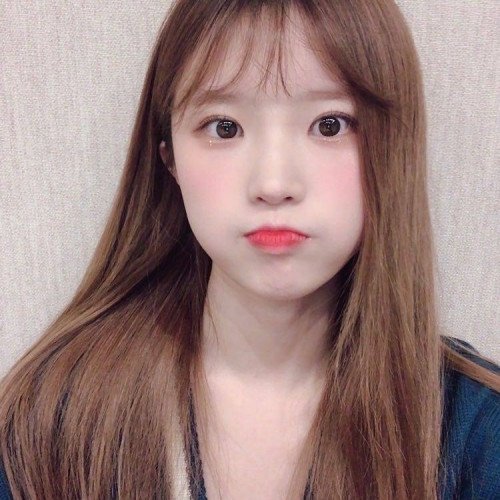 Image 1386