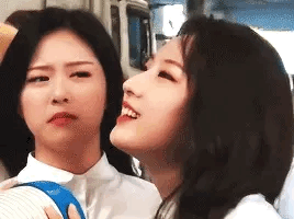 16318541616876.GIF