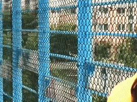 16318541665696.GIF