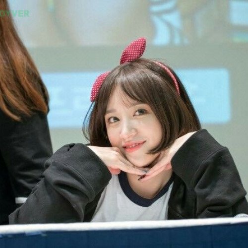 Image 13816