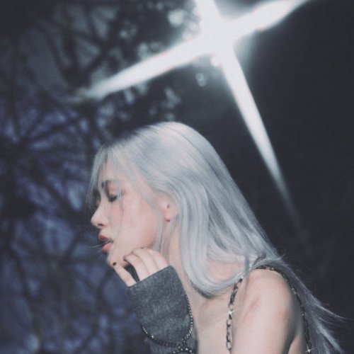 Image 13861