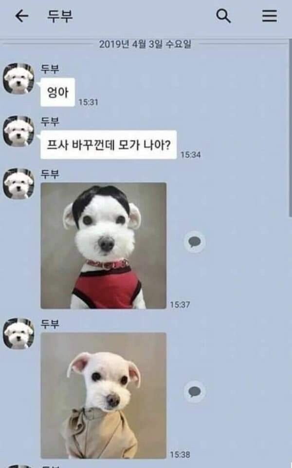 16529307478009.jpeg