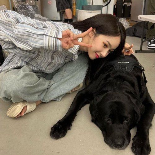 Image 16704