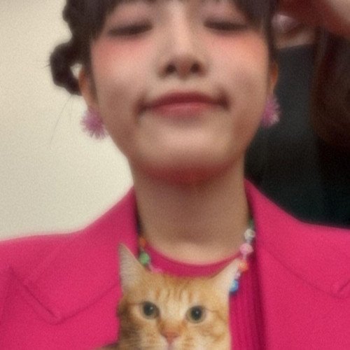 Image 16759