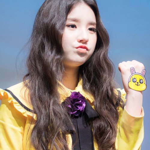 Image 16813