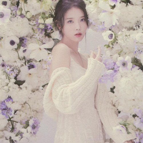 Image 16816