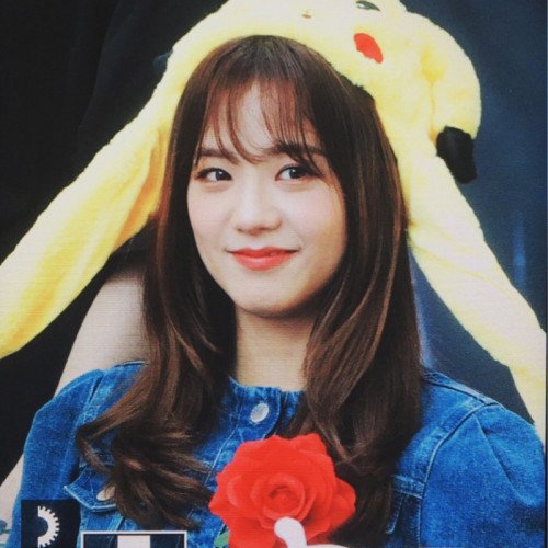 Image 16864